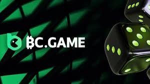 A Comprehensive Guide to the BC.Game Login Process