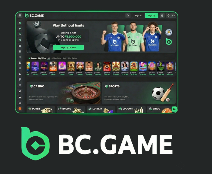 The Ultimate Guide to BC.Game Platform A Premier Crypto Gambling Experience